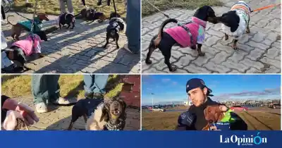 Salchi encuentro en la costanera: una decena de Dachshunds y sus dueños compartieron una jornada única