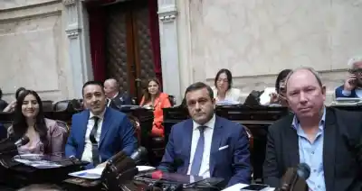 Misiones sacude el Congreso: los cuatro diputados provinciales abandonan Innovación Federal y se unen a Passalacqua