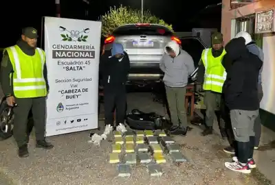 Doble golpe al narcotráfico: secuestran más de 62 kilos de cocaína en dos rutas salteñas