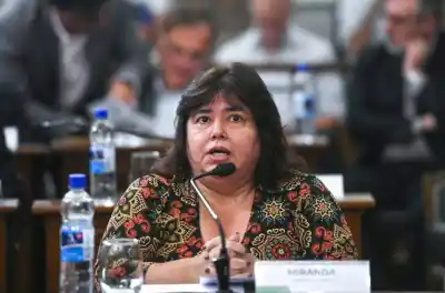 La senadora que desafió al PJ y ahora compara a Frigerio con Bahl