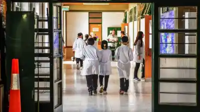 Neuquén en la mira: ¿por qué solo la mitad de los alumnos de primaria termina en tiempo y forma?