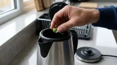 El truco casero con una bolita que está revolucionando el cuidado de las pavas eléctricas