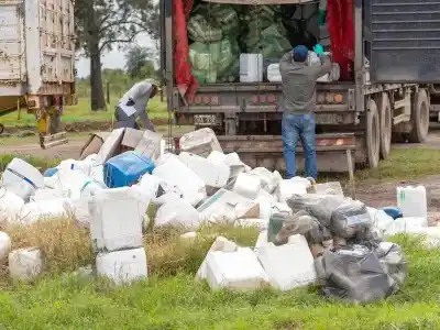 ¿Qué pasó con los 4.165 envases de agroquímicos que se recolectaron en Formosa?