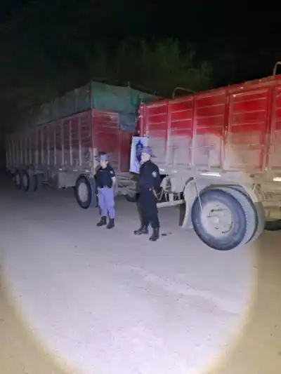 Secuestraron un camión con más de 20 toneladas de leña en Pampa del Indio: ¿qué faltaba?