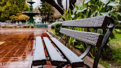 Alerta en Mendoza: llega el frío extremo, nieve en la cordillera y heladas que complican el campo