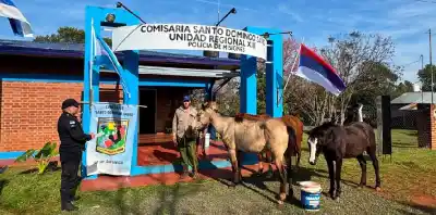 El misterioso robo de caballos en Aparicio Cué que terminó con un hallazgo inesperado