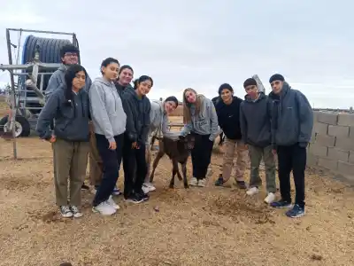 ¿Leche en desuso? Descubrí el ingenioso proyecto que la convierte en llaveros