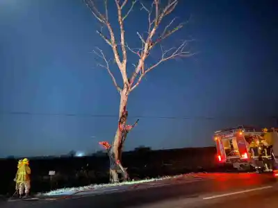 Un árbol ardió y correría riesgo de caer sobre la vieja Ruta 38
