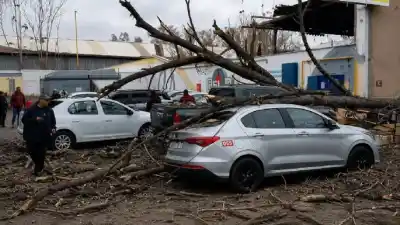Cinco vehículos aplastados por un árbol en Guaymallén: el detalle que evitó una tragedia