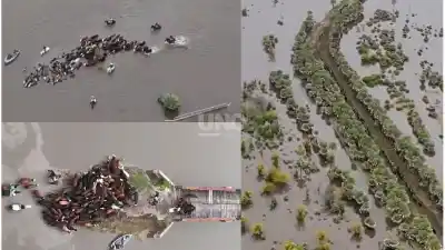 El agua no da tregua en Santa Fe: productores luchan para salvar su ganado