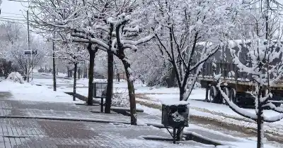 Nevadas en el sur mendocino: cortan dos rutas nacionales y piden no viajar