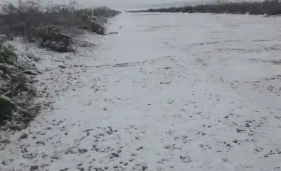 El oeste pampeano amaneció bajo nieve: las impactantes imágenes que sorprendieron a todos