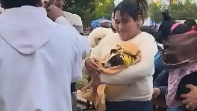 El emotivo ritual que une a Pampa Blanca con sus mascotas cada 16 de agosto