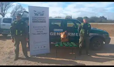 La Rioja: múltiples operativos dejaron secuestros de droga, armas y millonarias divisas
