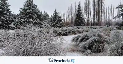 Alerta amarilla en San Juan: las nevadas que complicarían la semana