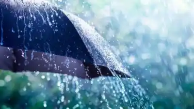 Lluvias, neblinas y un fin de semana con frío: cómo estará el clima en Córdoba