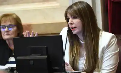 La senadora Huala salió al cruce y apuntó contra los que se van: “No corresponde responsabilizar al partido”