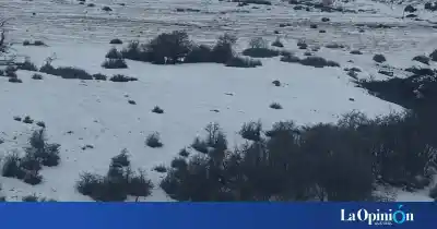 Río Turbio: alerta por personas caminando sobre el hielo en el Dique San José