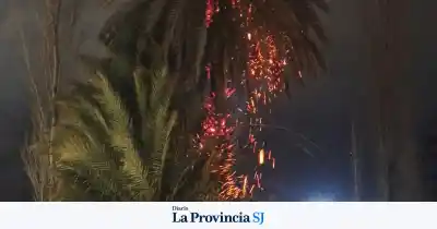 Una palmera en llamas junto a una casa encendió las alarmas en Pocito