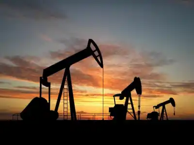 RIGI en Río Negro: ¿inversión que transforma o riqueza que solo pasa?