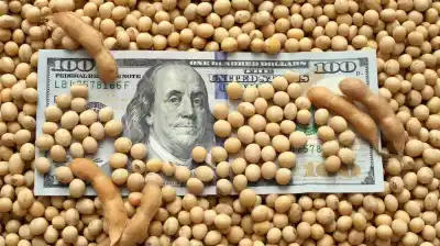 La soja rompe una barrera clave y pone en alerta al mercado: el inesperado efecto de la guerra