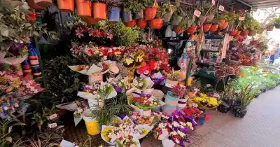 Floristas en alerta: la crisis climática disparó los precios y las pérdidas
