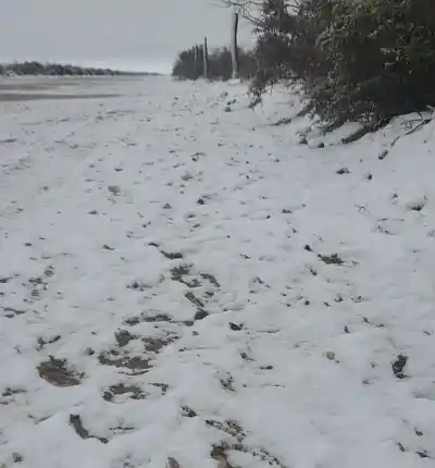 El fenómeno que tiñó de blanco el oeste pampeano y sorprendió en el límite con Mendoza