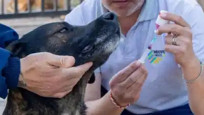 Móvil Veterinario en Fray Luis Beltrán: ¿cuándo llegará a tu barrio?