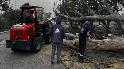 El viento arrasó en el Gran Mendoza y Defensa Civil no dio abasto: 47 intervenciones en una sola jornada