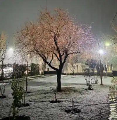 La nieve sorprendió a dos localidades de Iglesia y dejó un paisaje de película