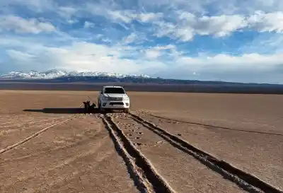 Impactantes imágenes revelan el daño en la Pampa del Leoncito tras el paso de una camioneta