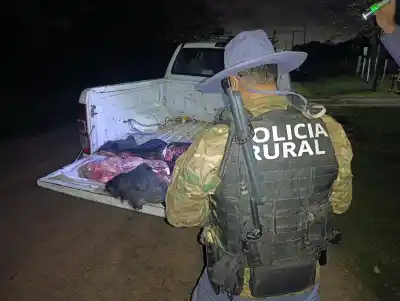 Un auto cargado de carne ilegal fue detenido en El Palmar: lo que encontraron adentro sorprendió a todos
