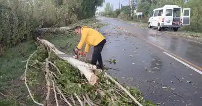El viento azotó Mendoza: 47 intervenciones y un departamento en el ojo de la tormenta