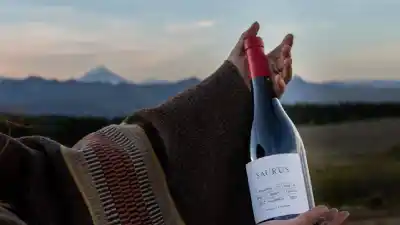 Pinot Noir Day: la bodega patagónica que marca tendencia con 9 etiquetas únicas