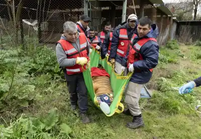 El operativo secreto para sacar a 30 felinos del exzoológico de Luján: ¿hacia dónde viajan?