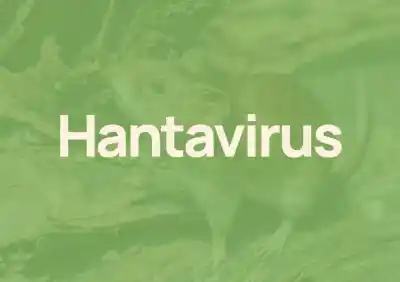 Tragedia en Neuquén: joven de 26 años muere por hantavirus en Zapala