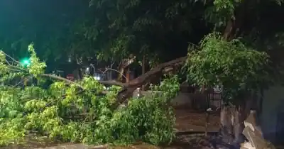 El viento azotó Mendoza: 47 incidentes y un departamento en el ojo de la tormenta