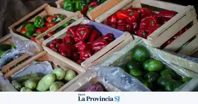 El plan de Pocito que promete revolucionar el comercio frutihortícola de San Juan
