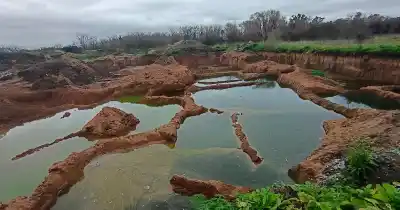 Descubrieron un basural clandestino con excavaciones ilegales en zona oeste y rescataron a un jabalí