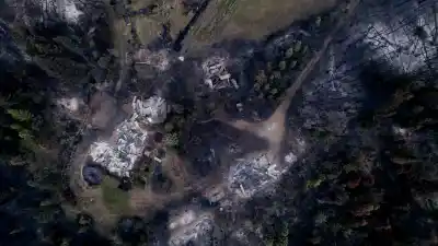 Incendios en la Patagonia: el CONICET lanza una serie documental que revela lo que nadie te contó