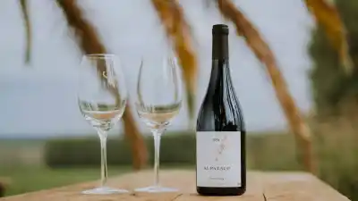 Pinot Noir: la cepa que une a Neuquén en una noche de vino, gastronomía y música