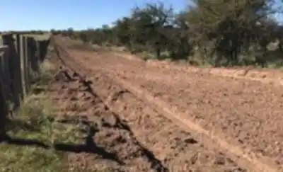 Inversión millonaria: Vialidad licita obras para mantener las picadas contrafuego en La Pampa