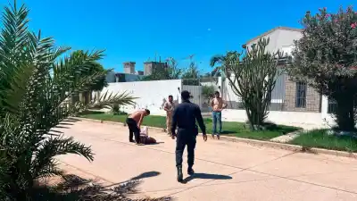 Un perro se cruzó en Añatuya y el desenlace dejó a un motociclista con graves heridas