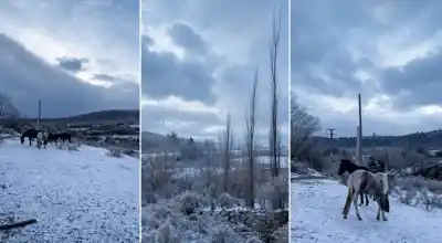 El paisaje blanco que sorprendió en Tafí del Valle: ¿qué zonas se llenaron de nieve?