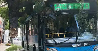 Caos en una salida de Alberdi: un colectivo arrastró un árbol y dejó a oscuras toda una cuadra
