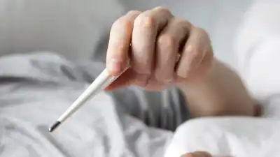Alerta en Jujuy: qué hay detrás de los casos de brucelosis y cómo evitar el contagio