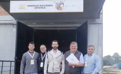 El secreto de la miel pampeana que brilló en Tucumán