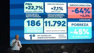 El plan que transformó el empleo en Neuquén: 12.000 nuevos puestos y 186 empresas en dos años