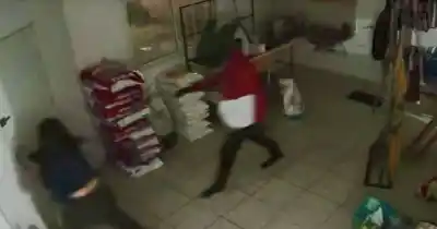 Asaltó un pet shop en Los Hornos y la dueña escapó pidiendo auxilio: el video que muestra todo