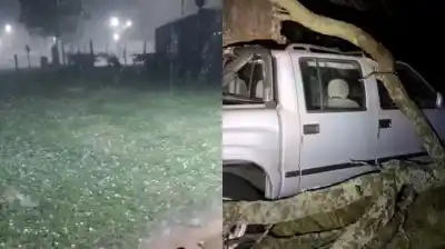 El temporal que azotó La Pampa: vientos huracanados y granizo gigante dejaron un panorama desolador